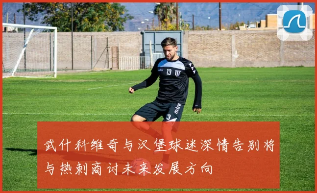 武什科维奇与汉堡球迷深情告别将与热刺商讨未来发展方向
