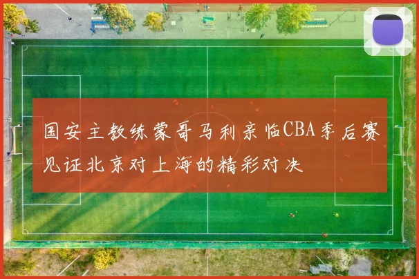 国安主教练蒙哥马利亲临CBA季后赛见证北京对上海的精彩对决