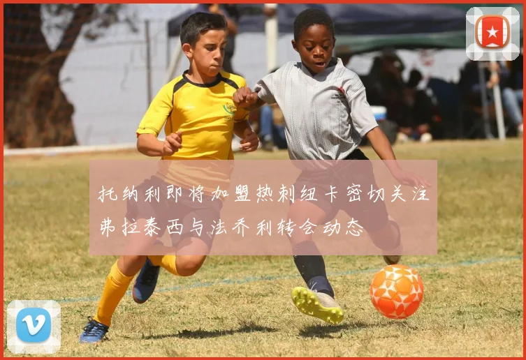托纳利即将加盟热刺纽卡密切关注弗拉泰西与法乔利转会动态